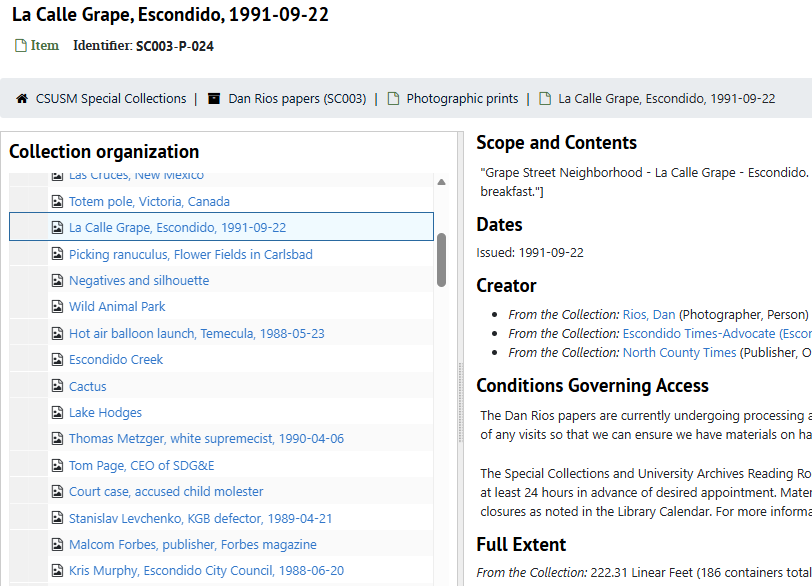 Screenshot from finding entry for Calle Grape, Dan Rios papers.