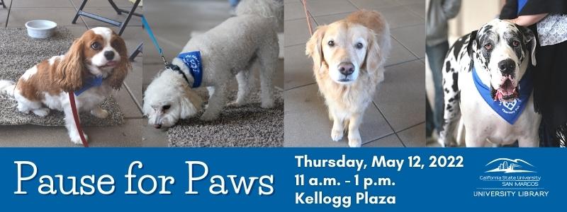 Image for the Spotlight on Pause for Paws Therapy Dogs